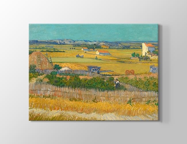  Vincent van Gogh The Harvest