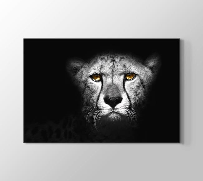  Karanlıktaki Sarı Gözlü Leopar