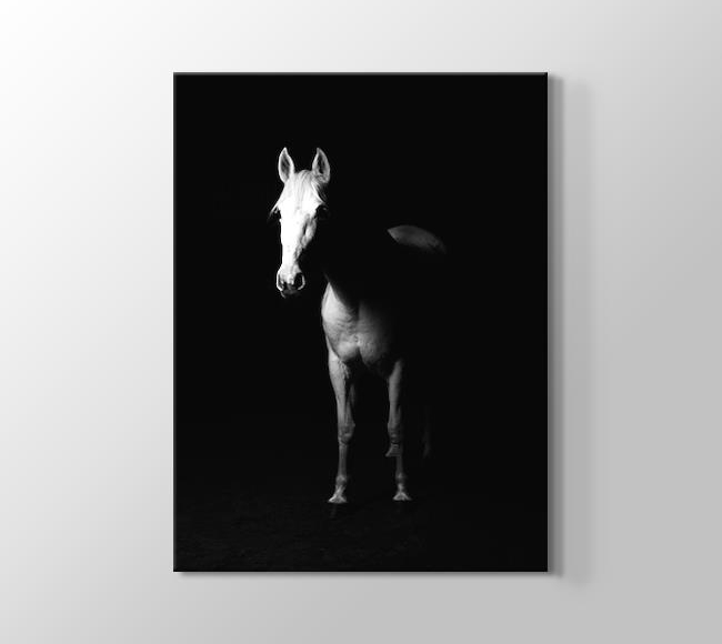 Karanlıktaki Beyaz At