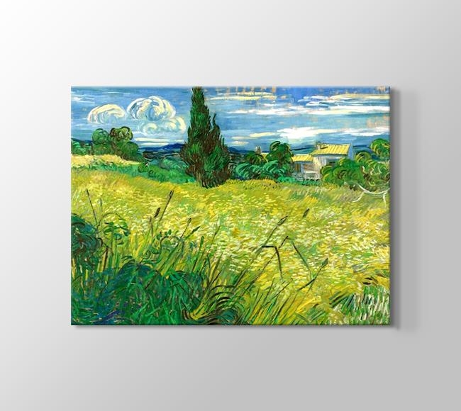  Vincent van Gogh Green Field