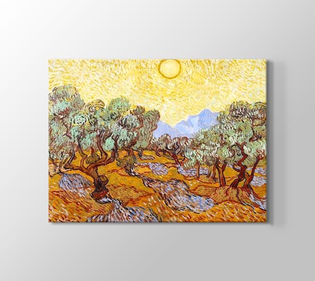  Vincent van Gogh Olive Trees 1889