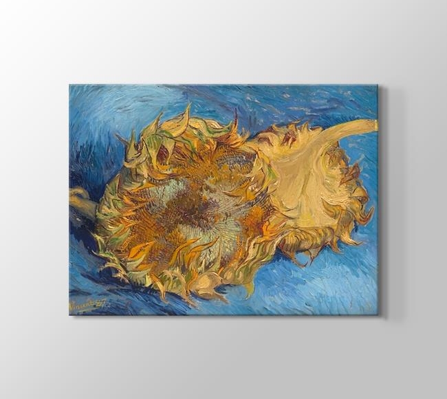  Vincent van Gogh Sunflowers