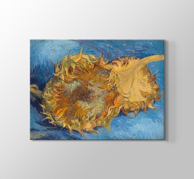 Sunflowers - Kanvas Tablosu
