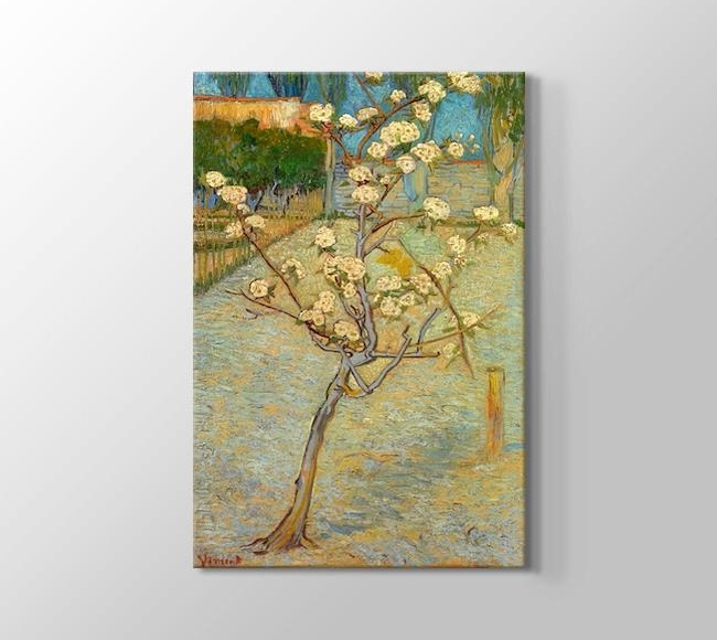  Vincent van Gogh Small pear tree in blossom