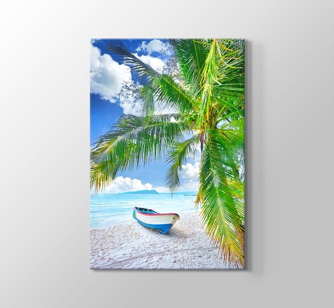  Kumsaldaki Palmiye Ağacı ve Tekne