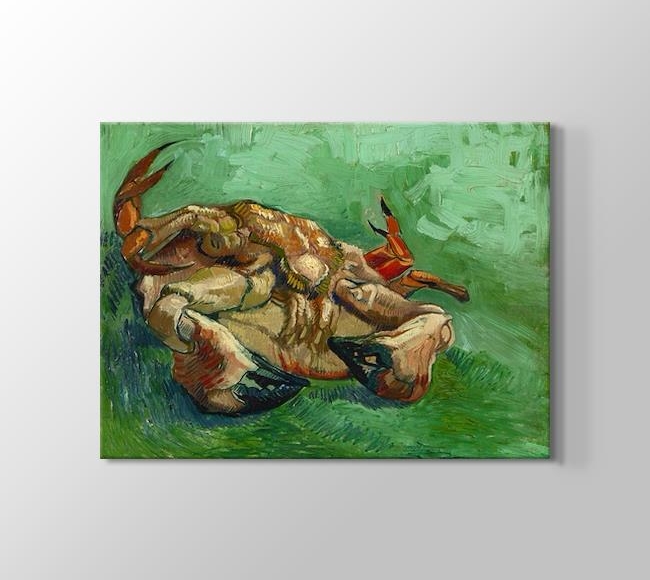  Vincent van Gogh A Crab on its Back