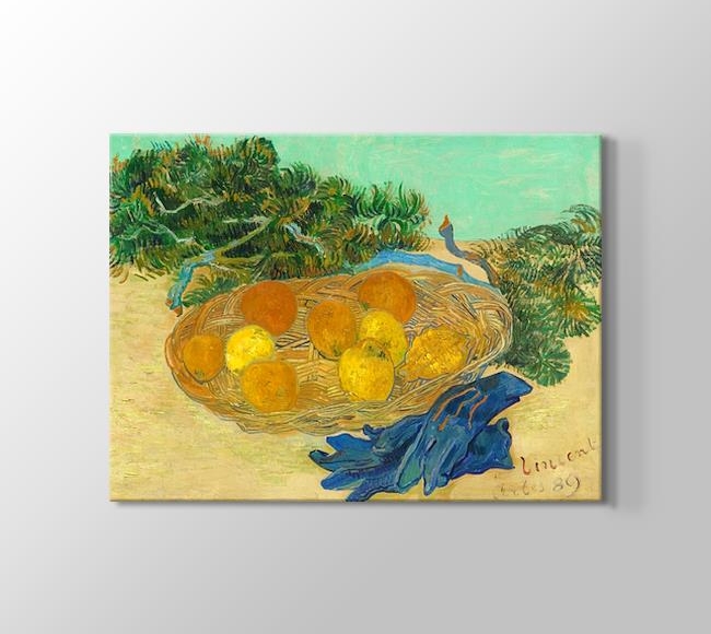  Vincent van Gogh Still Life of Oranges and Lemons with Blue Gloves