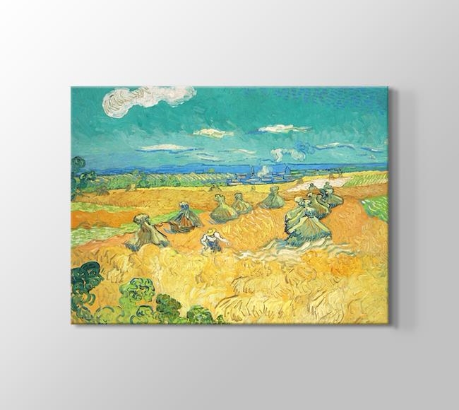  Vincent van Gogh Wheat Fields with Reaper, Auvers
