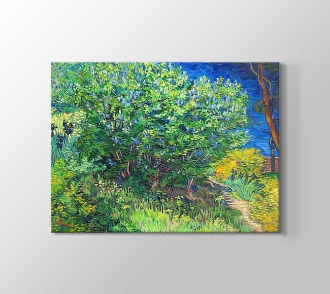  Vincent van Gogh Lilacs 1889