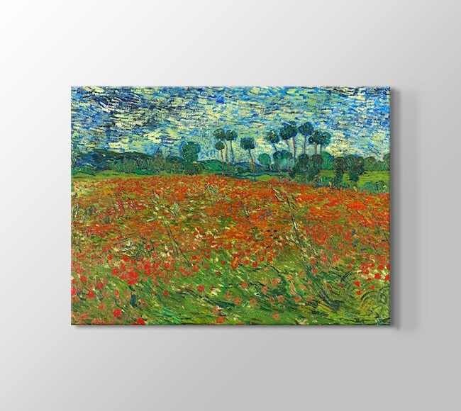  Vincent van Gogh Poppy field