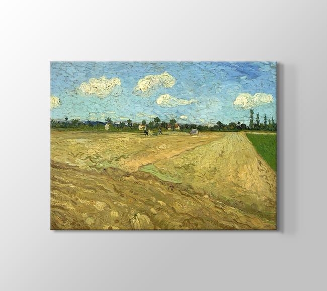  Vincent van Gogh Ploughed fields ('The furrows') - Geploegde akkers ('De voren')