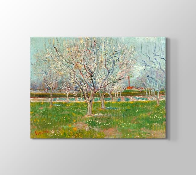  Vincent van Gogh Orchard in Blossom - Apricot Trees