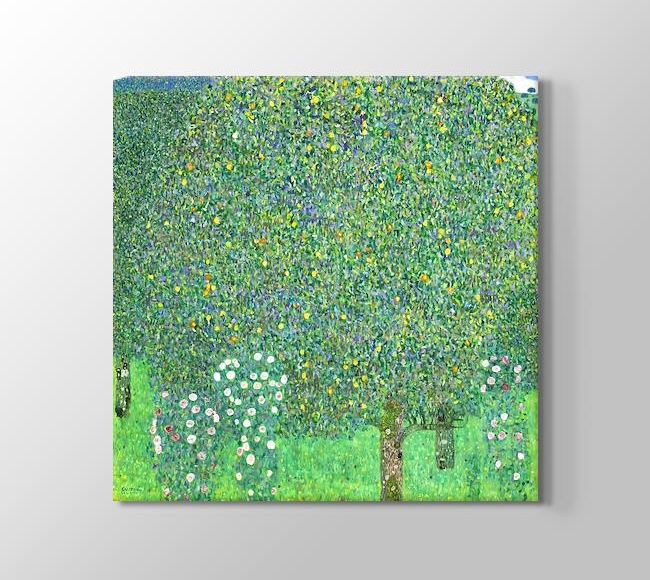  Gustav Klimt Rosebushes under the Trees