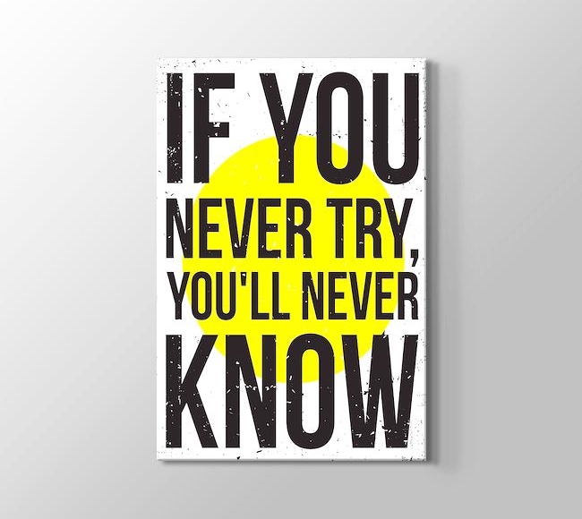  If You Never Try, You'll Never Know
