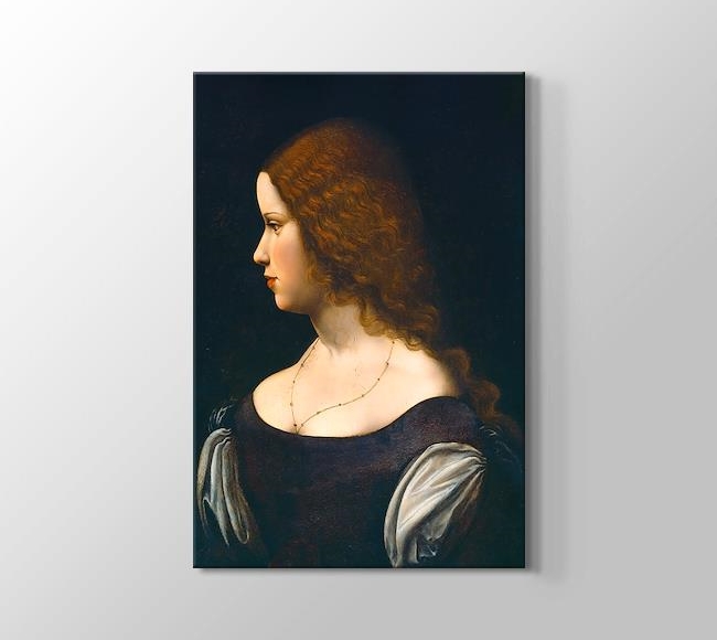  Leonardo da Vinci Portrait of a Young Lady