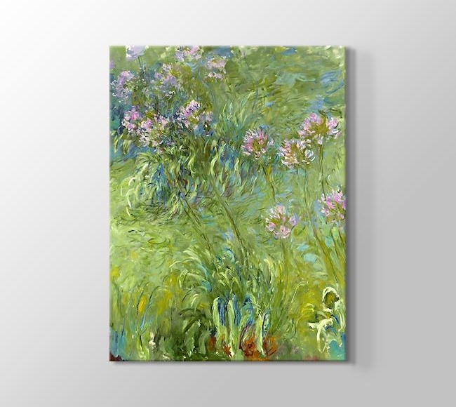  Claude Monet Agapanthus - Aşk Çiçeği