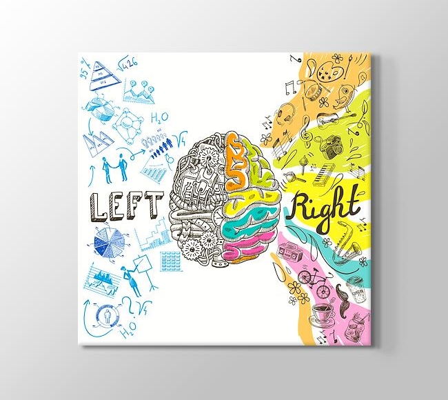  Sol ve Sağ Beyinin Renkli Dünyası