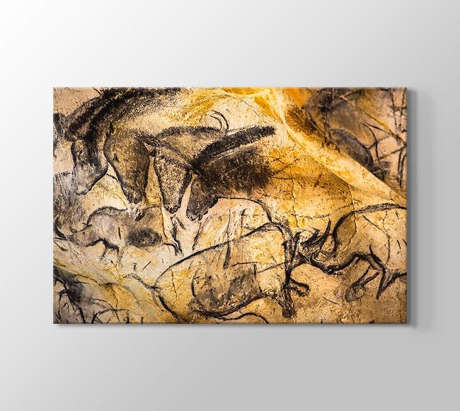  At ve Gergedan Çizimleri - Chauvet Mağarası Fransa