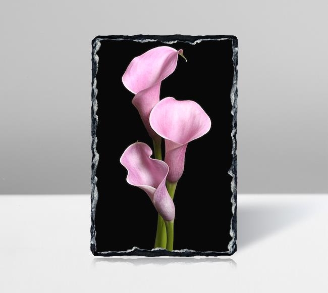 Pink Lilies - Üçlü Pembe Zambaklar