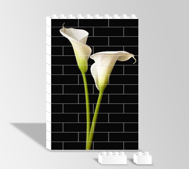 White Two Lilies -  İki Beyaz Zambak