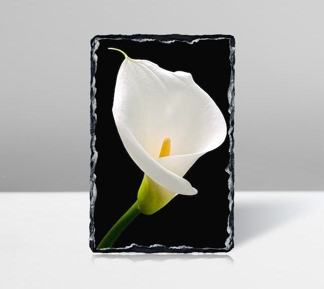 White Lilies - Beyaz Zambak