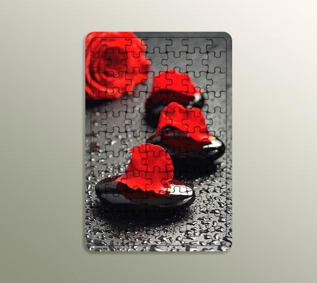 Black Pebbles and Red Rose