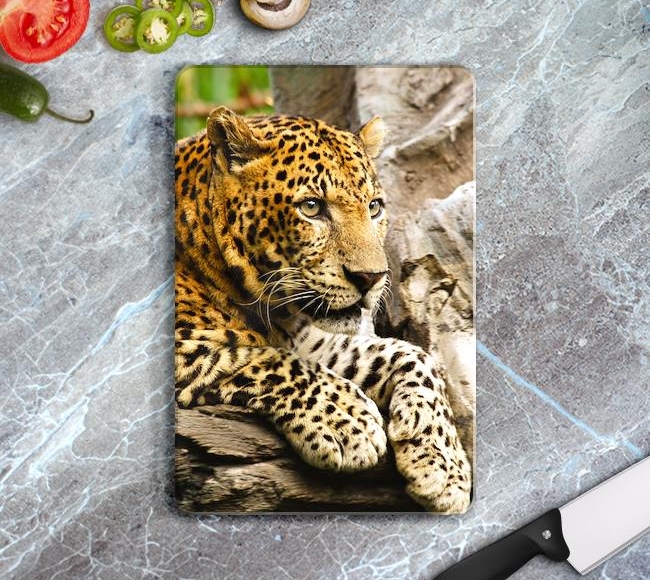 Panthera Pardus - Leopar 