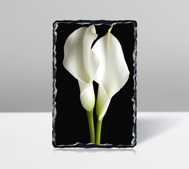 Lilies on Black - Siyah Üstünde 2 Beyaz Zambak