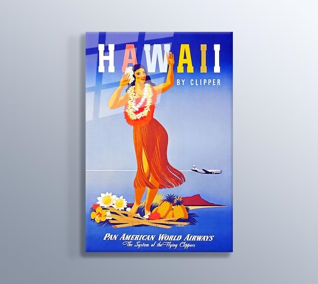 Hawaii Vintage Posteri