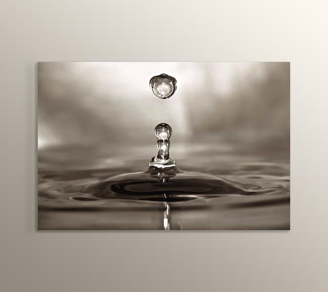 Water Drop - Su Damlası Siyah Beyaz