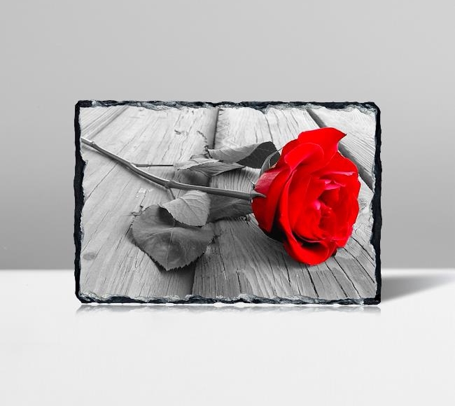 Red Rose on Wood