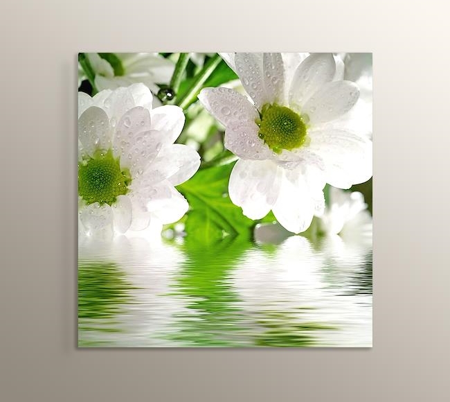 Flower - Yeşil Su ve Beyaz Yapraklar