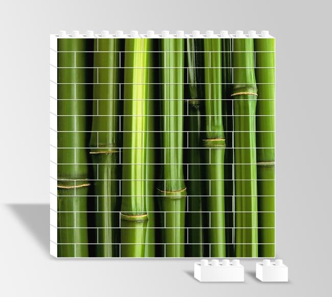 Yakın Çekim Bambu Görüntüsü