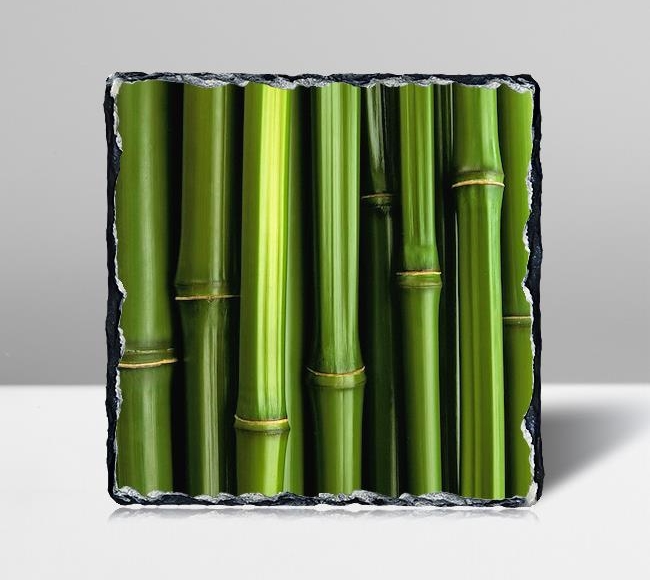 Yakın Çekim Bambu Görüntüsü