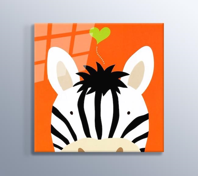 Sevimli Zebra 
