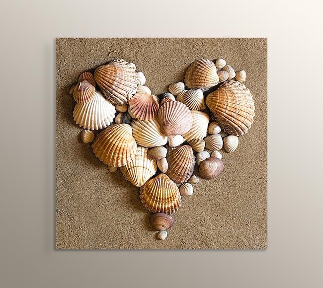 Heart Shaped Sea Shells