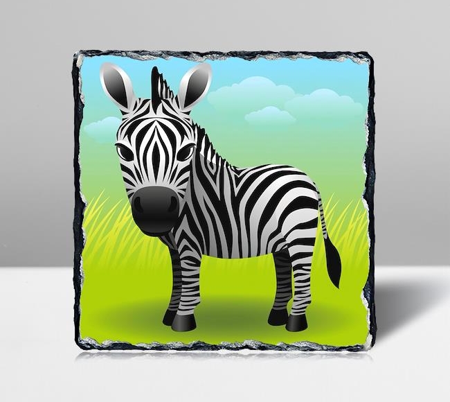 Küçük Zebra