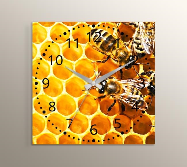 Bees on Honeycomb