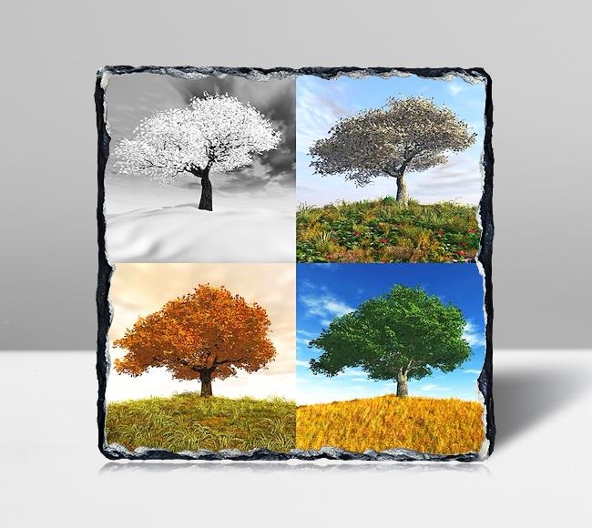 Four Seasons II