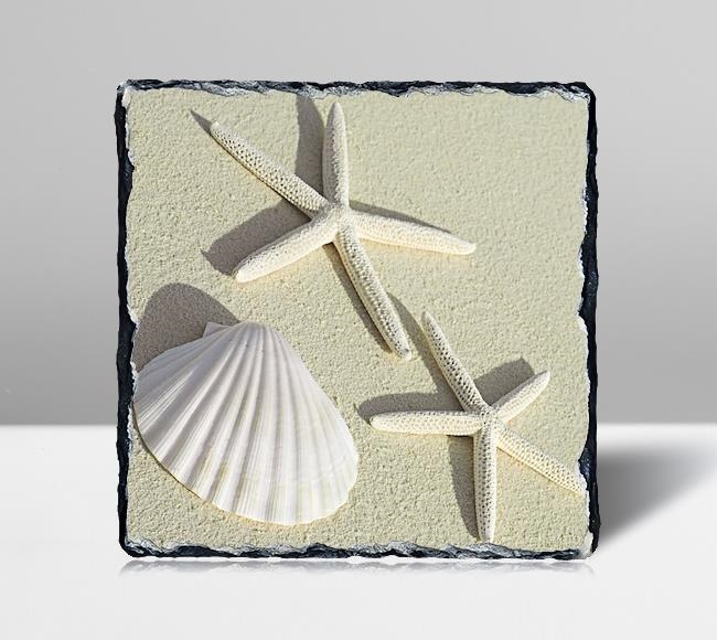 Sea Shells - Deniz Kabuğu ve Deniz Yıldızı