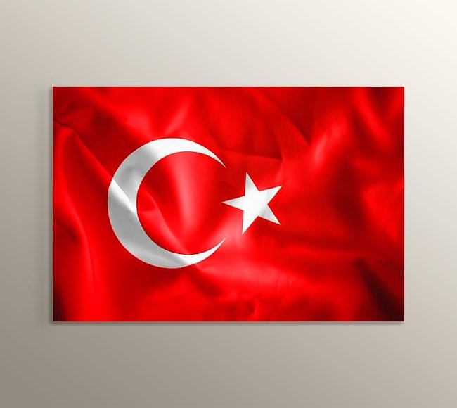 Şanlı Türk Bayrağı