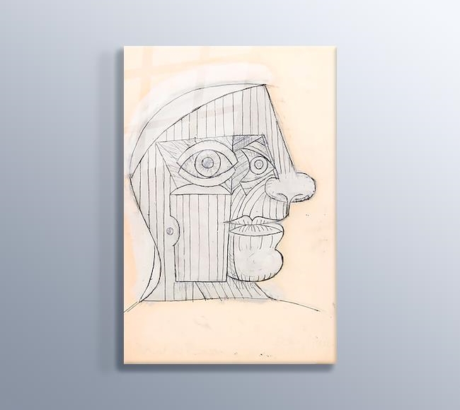 Portrait de Picasso