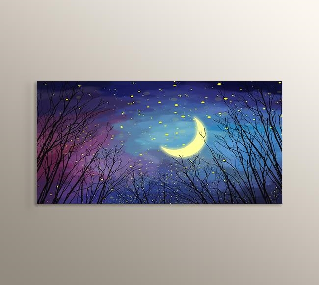 Panaromik Gece Gökyüzü - Yıldızlar ve Ay 
