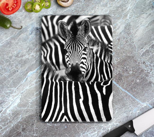 Zebra - Black White