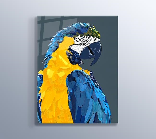 Mavi ve Sarı Renkli Papağan