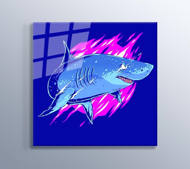 Şimşek Gözlü Köpekbalığı Mavi Derinlik