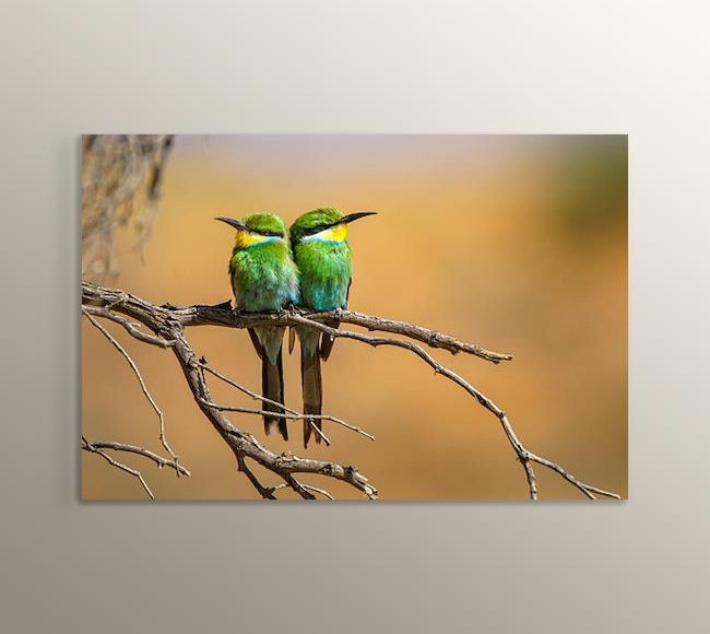 Dalın Üstündeki Yeşil Kuşlar