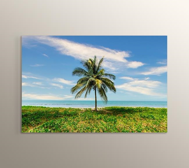 Adadaki Palmiye Ağacı