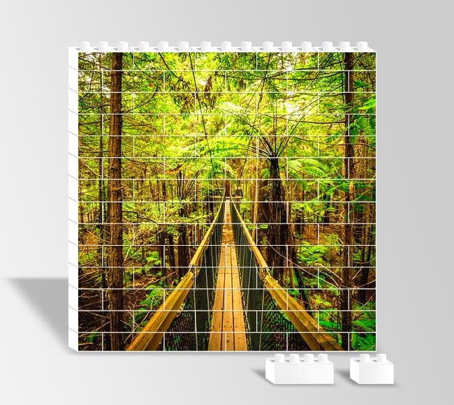 Ormanın İçinde Tahta Köprü