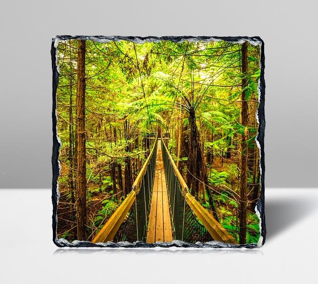 Ormanın İçinde Tahta Köprü